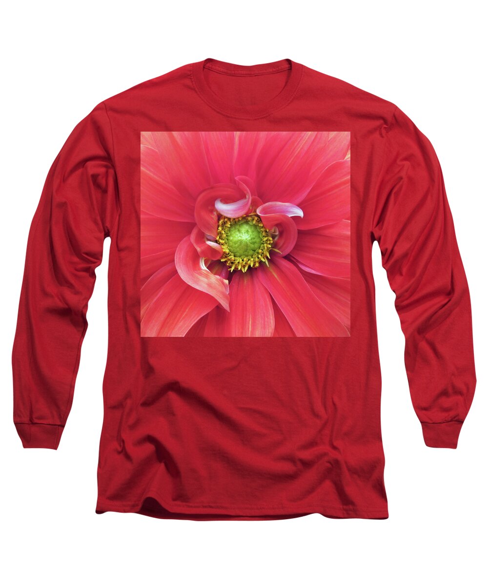 Photograph Of Dahlia Long Sleeve T-Shirt featuring the photograph The Dahlia #1 by Gwyn Newcombe