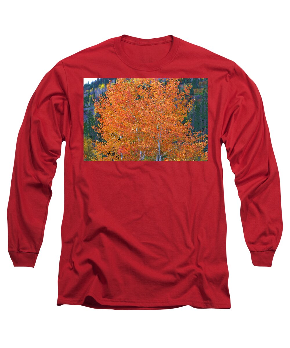 Autumn Long Sleeve T-Shirt featuring the digital art Translucent Aspen Orange #1 by Gary Baird