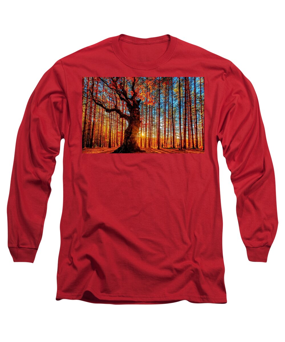 Tree Long Sleeve T-Shirt featuring the photograph Tree #9 by Jackie Russo