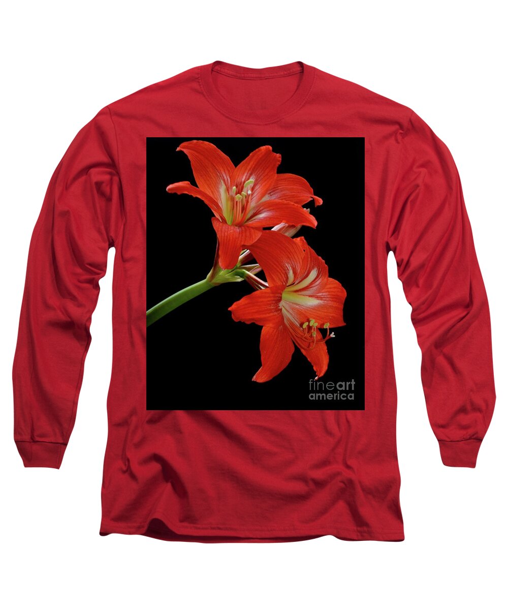 Gift Long Sleeve T-Shirt featuring the photograph Amaryllis by AnnaJo Vahle