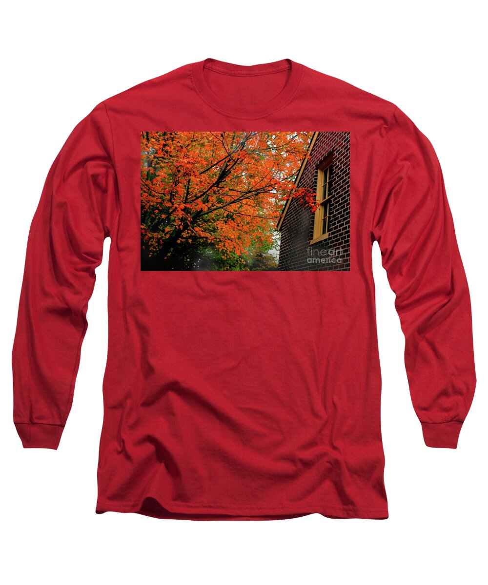 Tree Long Sleeve T-Shirt featuring the photograph Autumn at the Window by Sandy Moulder
