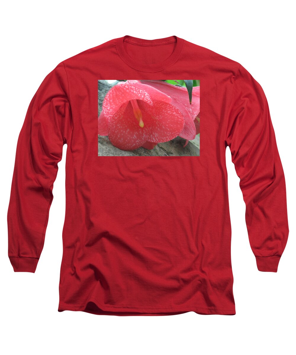  Long Sleeve T-Shirt featuring the photograph Bell on Granite 2 by Ron Monsour