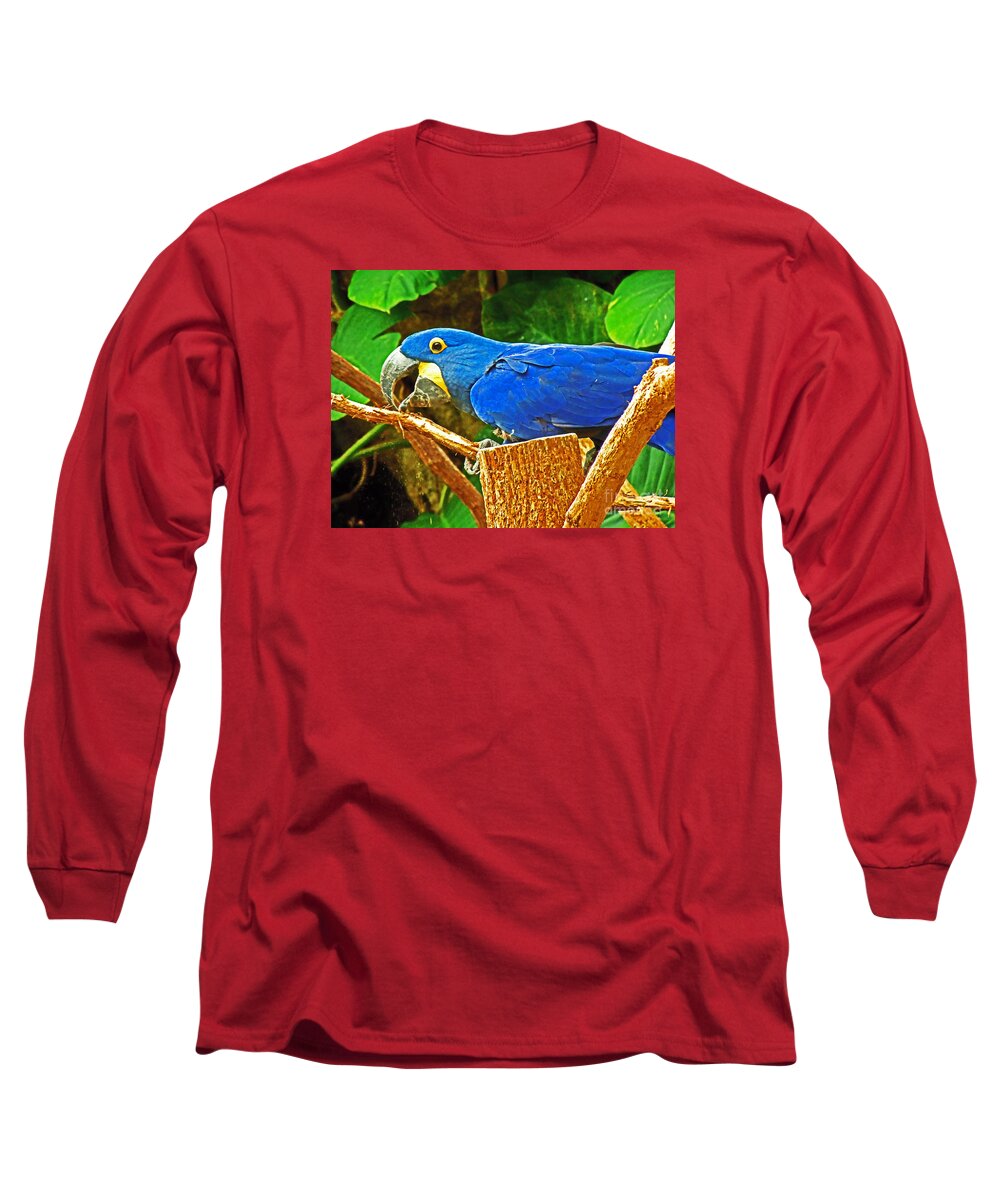  Long Sleeve T-Shirt featuring the photograph blue Parrot on Stump by David Frederick
