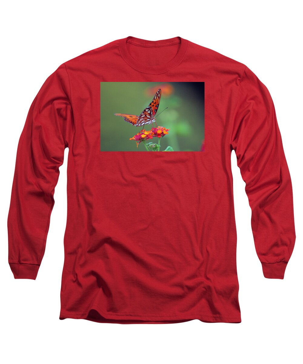 Butterfly Long Sleeve T-Shirt featuring the photograph Butterfly Majestic by DB Hayes