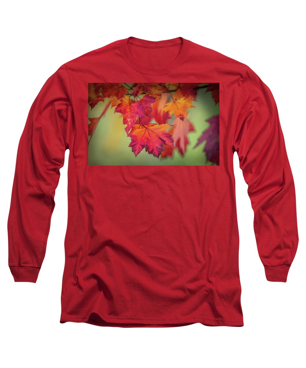 Leaf Long Sleeve T-Shirt featuring the photograph Close-up of Red Maple Leaves in Autumn by Patrick Wolf