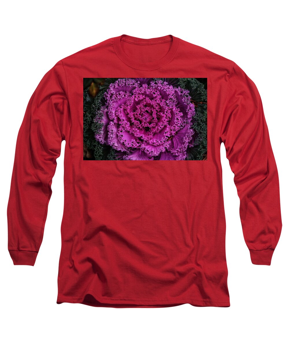 Ornamental Long Sleeve T-Shirt featuring the photograph Close Up Ornamental Cabbage by Buck Buchanan