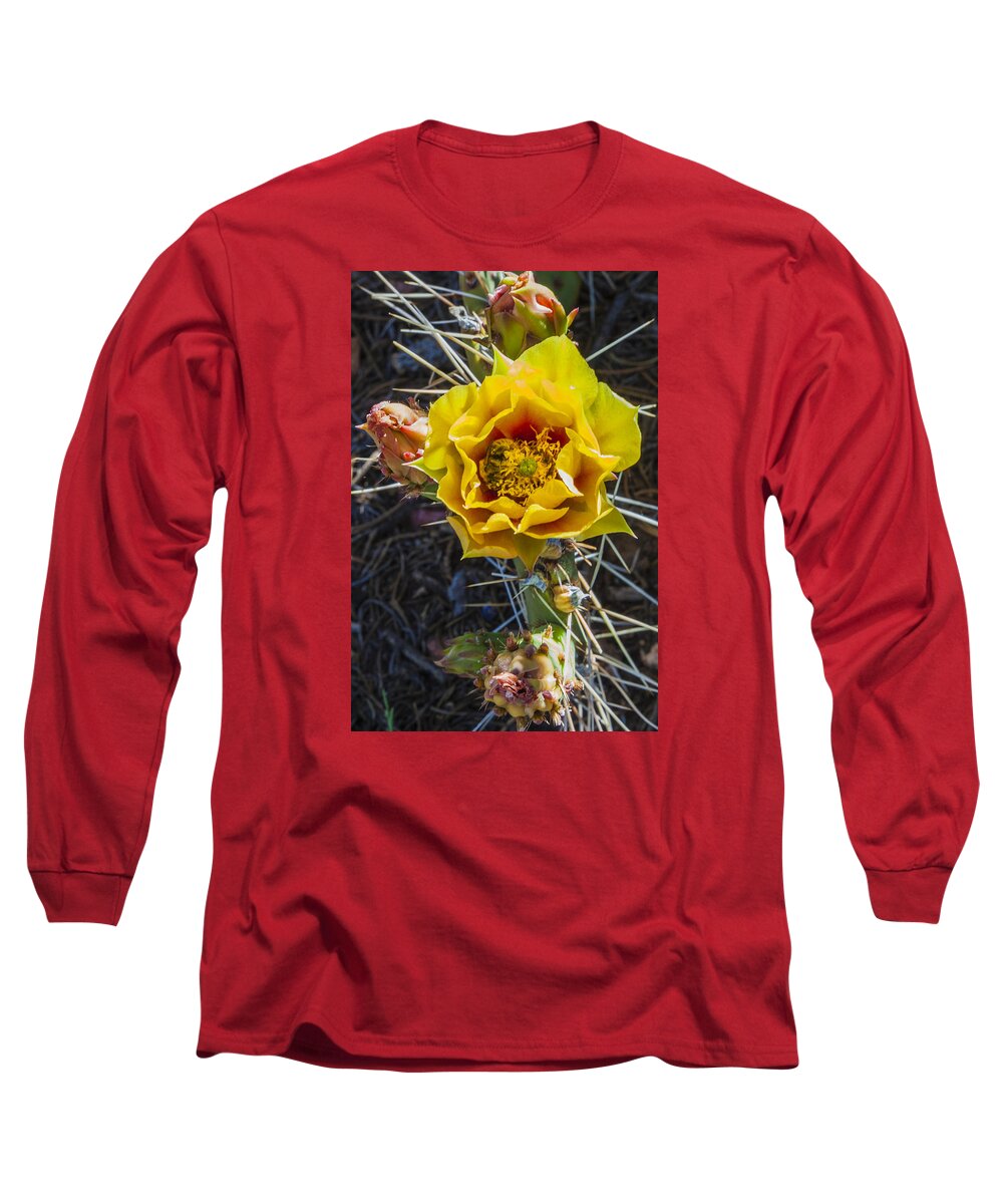 Cactus Long Sleeve T-Shirt featuring the photograph Desert Rose by David Wagner