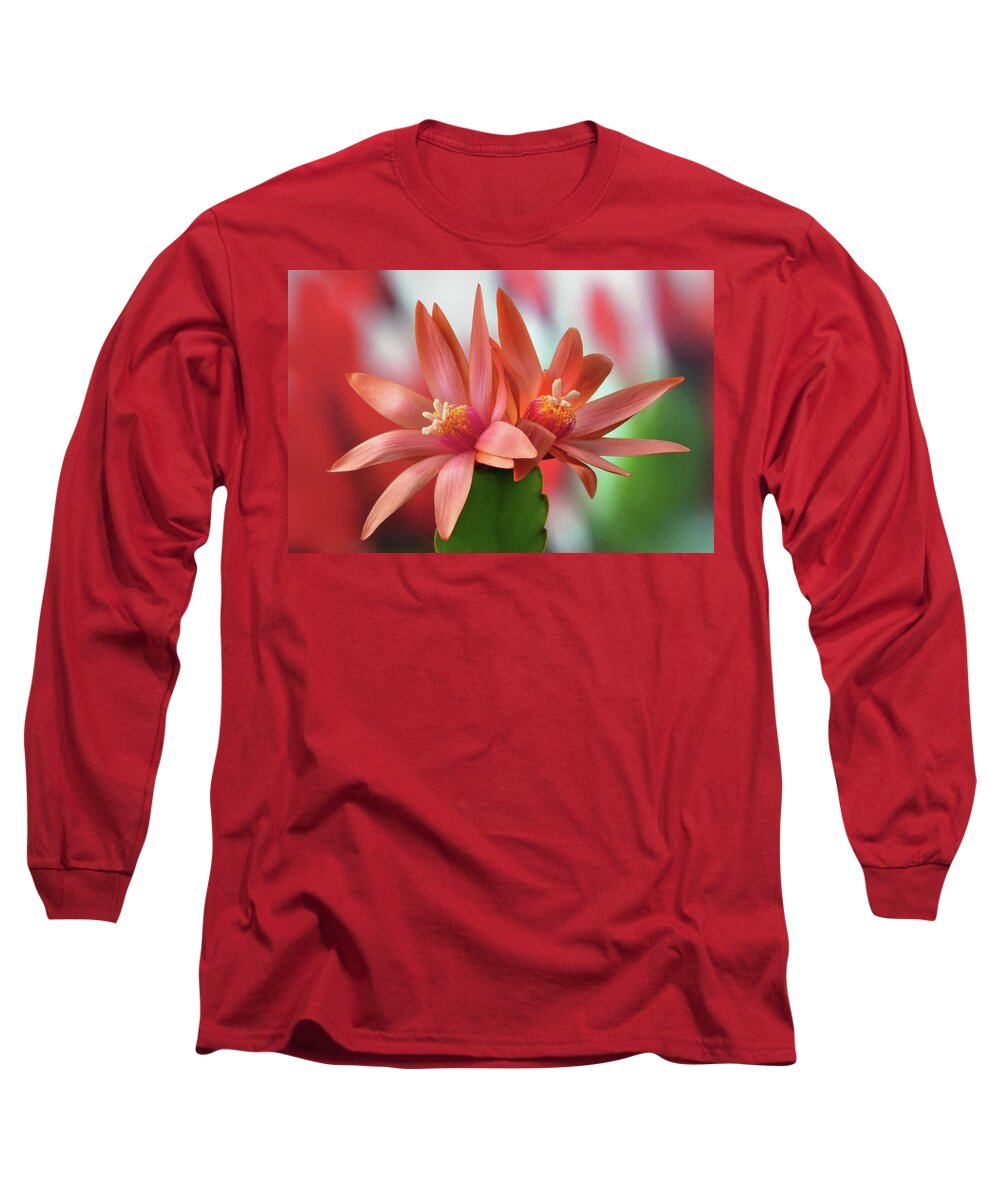 Easter Cactus Long Sleeve T-Shirt featuring the photograph Easter Cactus by Terence Davis