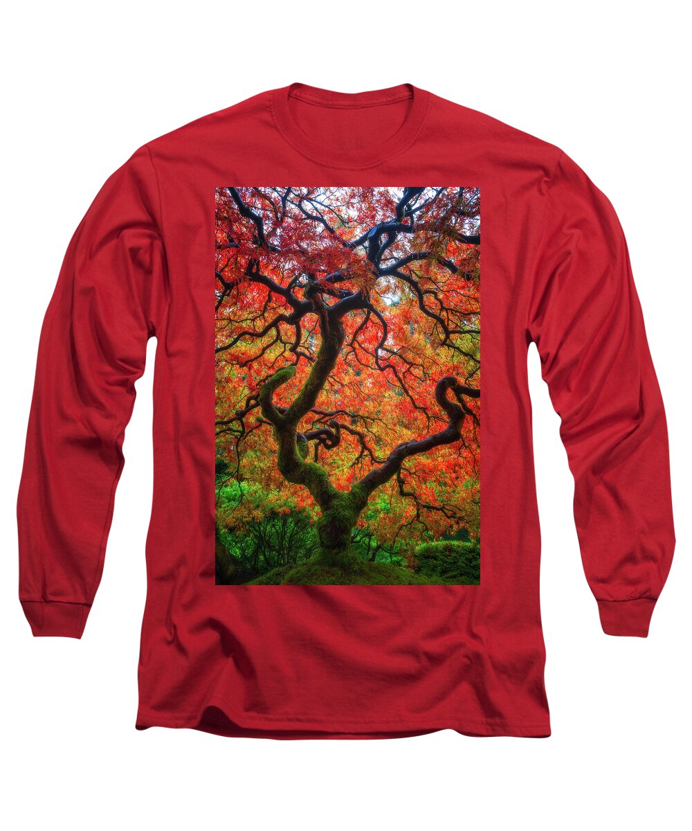 Trees Long Sleeve T-Shirt featuring the photograph Ethereal Tree Alive by Darren White