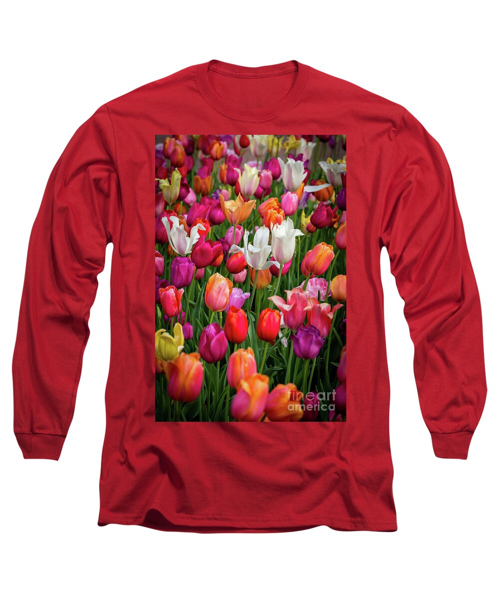 Tulip Long Sleeve T-Shirt featuring the photograph Eye Candy by Charles Hite