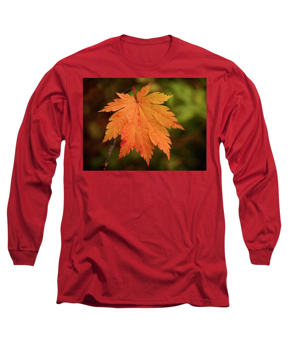 Leaf Long Sleeve T-Shirt featuring the photograph Fall Maple Leaf - 365-231 by Inge Riis McDonald