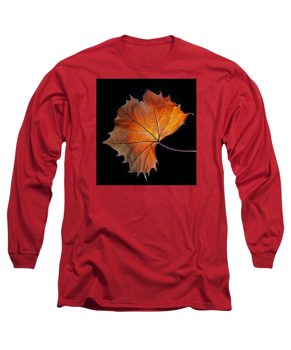 Leaf Long Sleeve T-Shirt featuring the photograph Fall by Robert Och