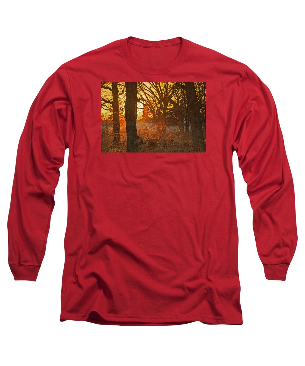 Danada Forest Preserve Long Sleeve T-Shirt featuring the photograph Fall sunset in the woods by Joni Eskridge