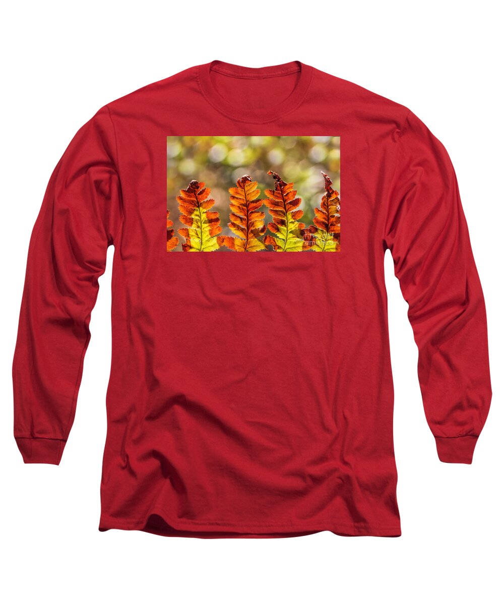 Ferns Long Sleeve T-Shirt featuring the photograph Ferns And Bokeh Forest Light by Mimi Ditchie