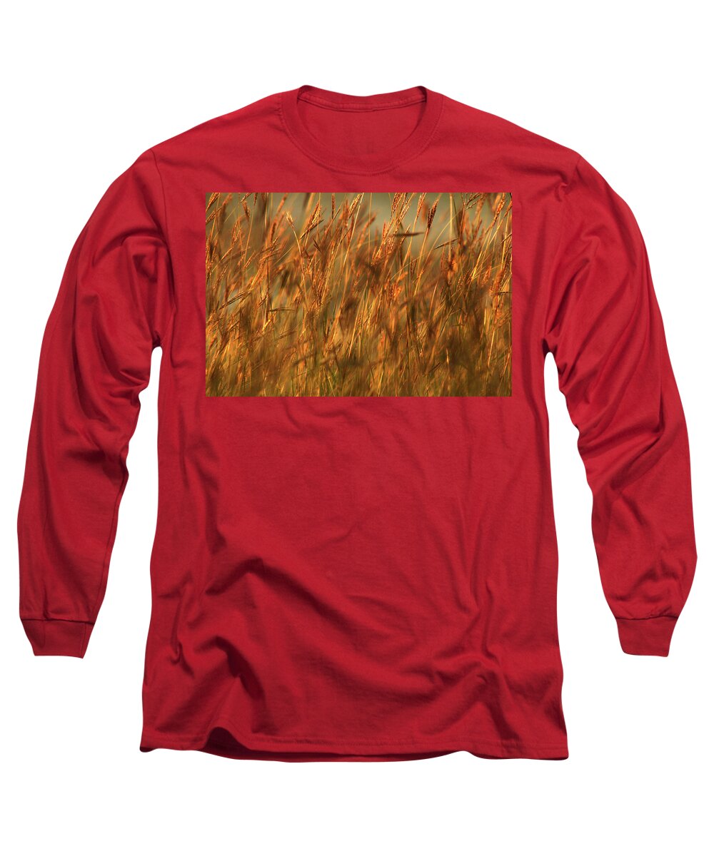 Field Long Sleeve T-Shirt featuring the photograph Fields of golden grains by Emanuel Tanjala