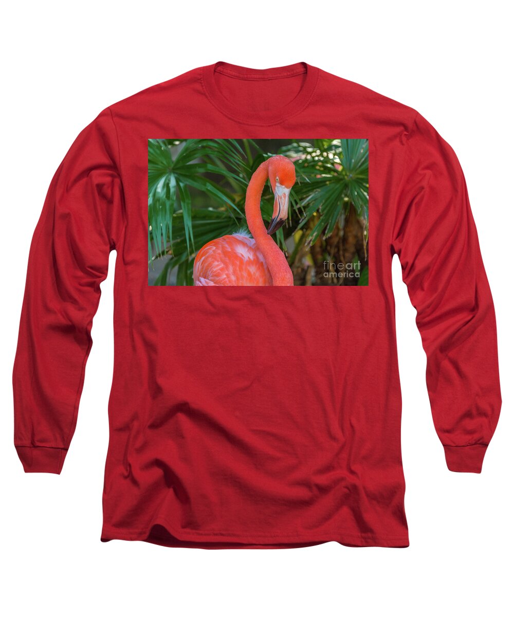 Flamingo Long Sleeve T-Shirt featuring the photograph Flamingo Portrait by Kimberly Blom-Roemer