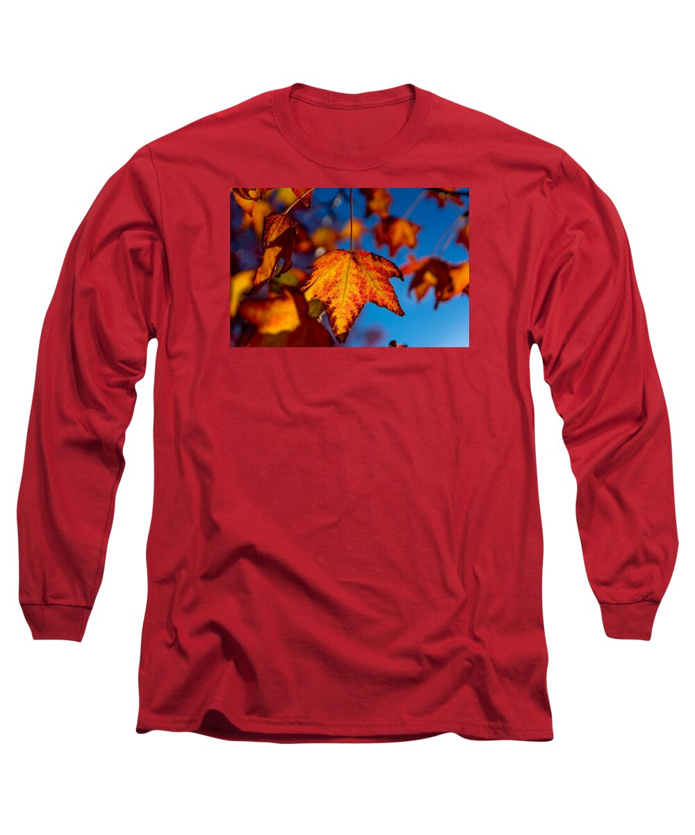 Fall Long Sleeve T-Shirt featuring the photograph Hanging On by Derek Dean