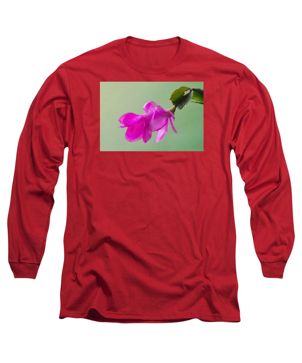 Christmas Cactus Long Sleeve T-Shirt featuring the photograph Happy Holidays by Jim Zablotny