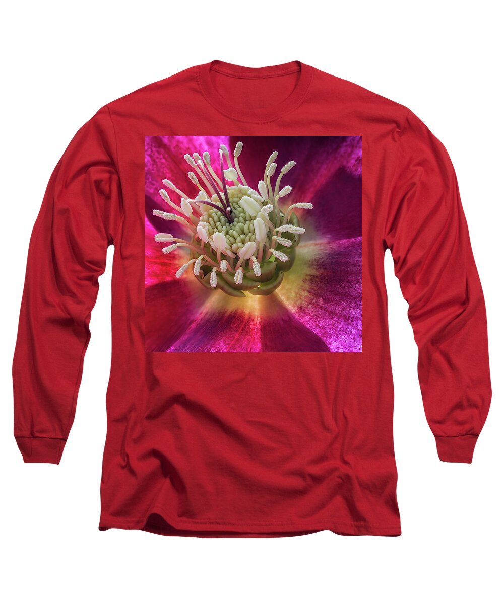 Hellebore Long Sleeve T-Shirt featuring the photograph Hellebore center by Shirley Mitchell