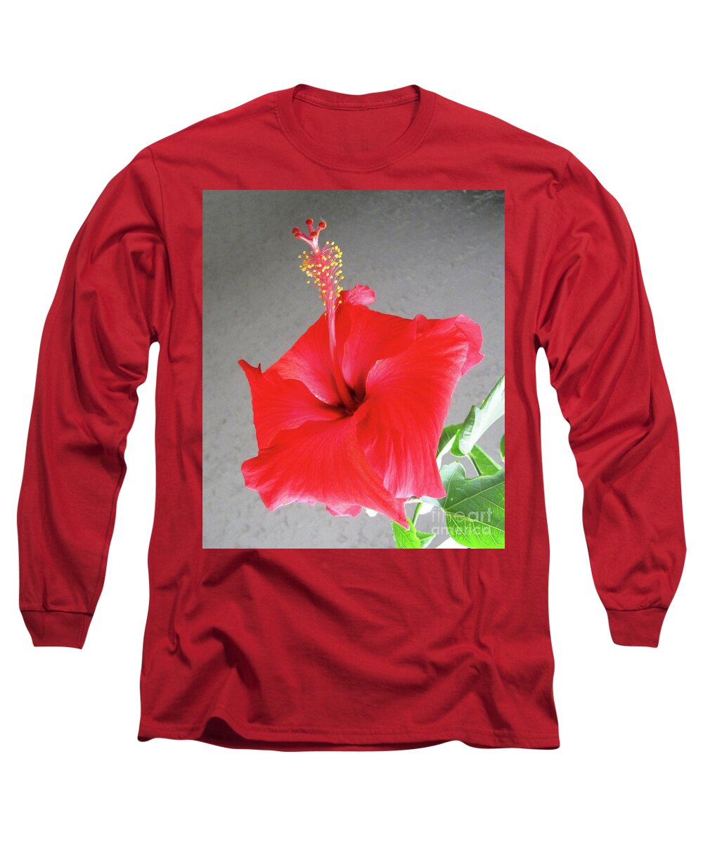 Hibiscus Long Sleeve T-Shirt featuring the photograph Hibiscus #2 by Cindy Schneider