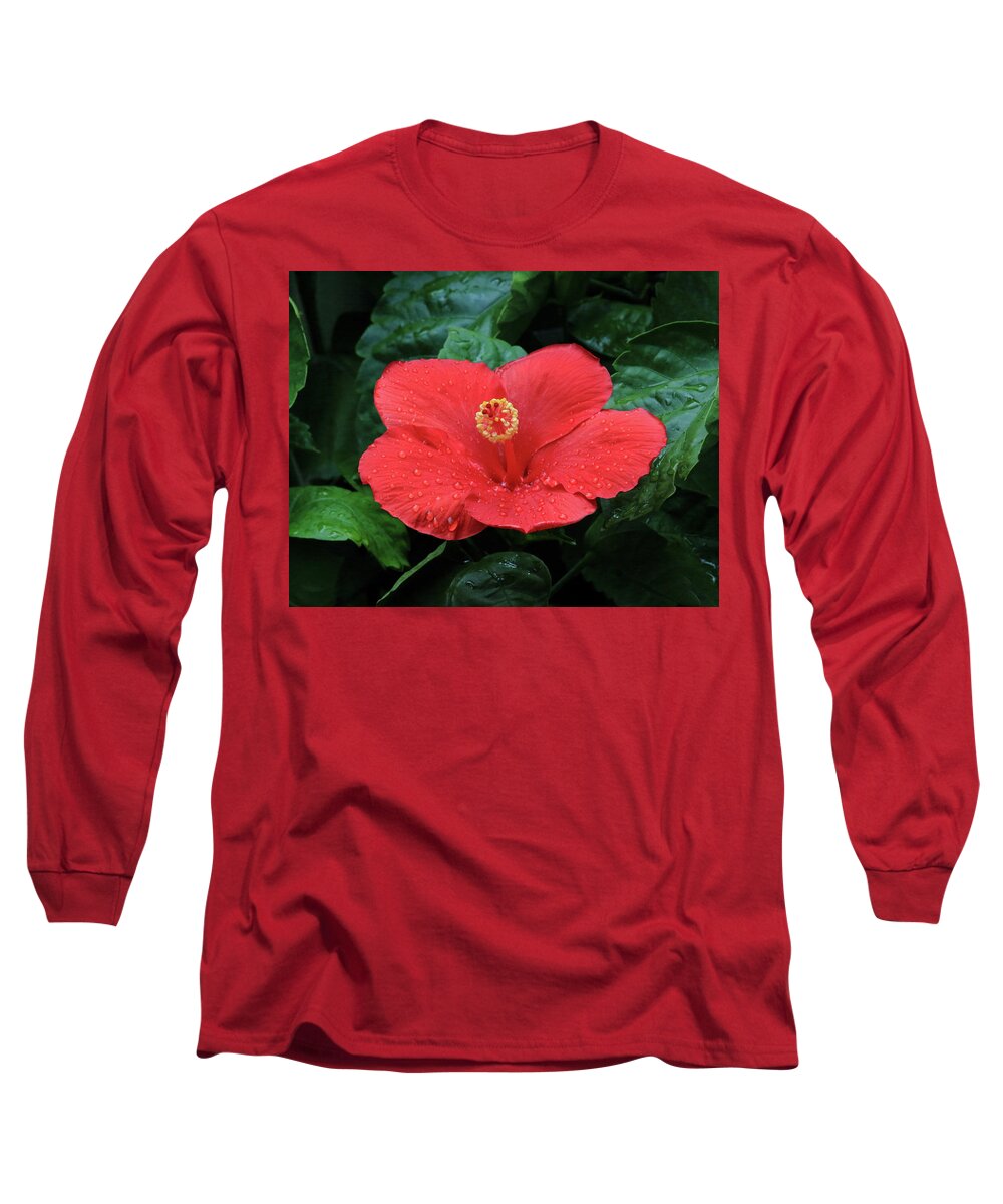Hibiscus Long Sleeve T-Shirt featuring the photograph Hibiscus After Rain by PJQandFriends Photography