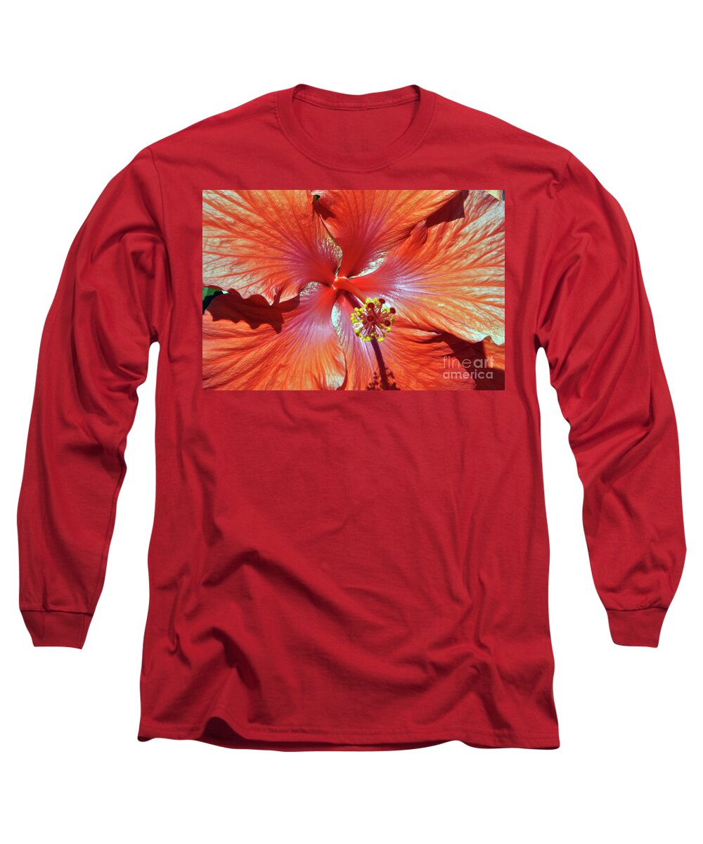 Flower Long Sleeve T-Shirt featuring the photograph I Love Orange Flowers 2 by Lydia Holly