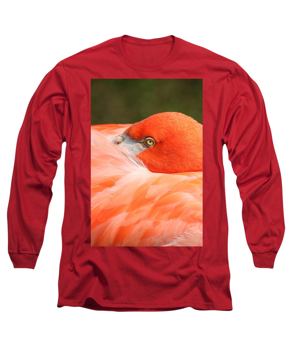 Birds Long Sleeve T-Shirt featuring the photograph I'm watching you by Thomas Pipia