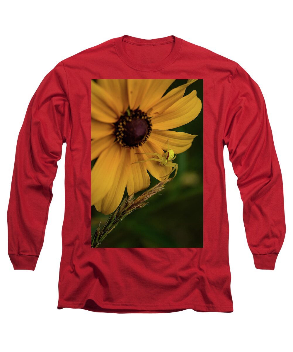 Insects Long Sleeve T-Shirt featuring the photograph Laying Out the Welcome Mat by Ron Dubreuil