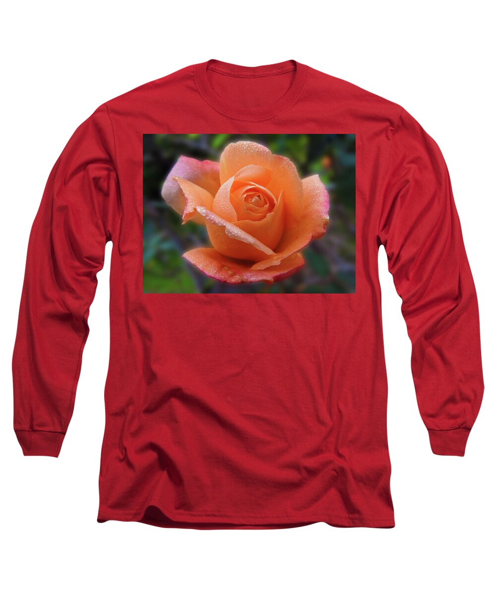 Flower Long Sleeve T-Shirt featuring the photograph Little Goldie by Mark Blauhoefer