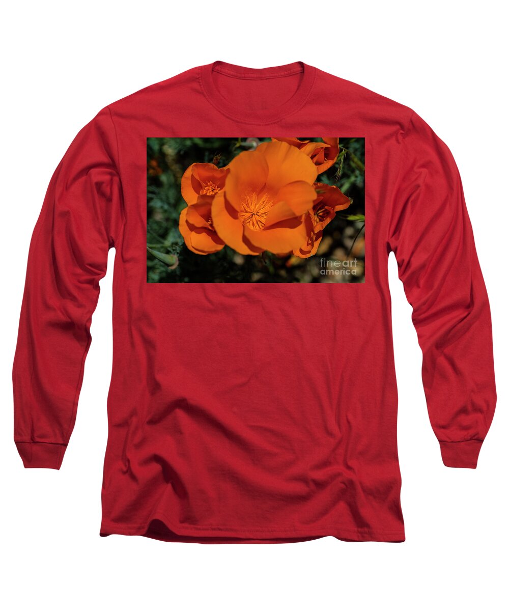 Photography Long Sleeve T-Shirt featuring the photograph Los Padres 2 by Daniel Knighton
