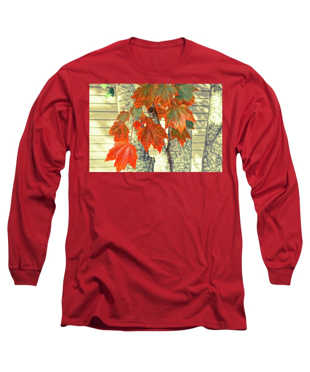 Maple Leaves Long Sleeve T-Shirt featuring the photograph Maple by Ronda Broatch