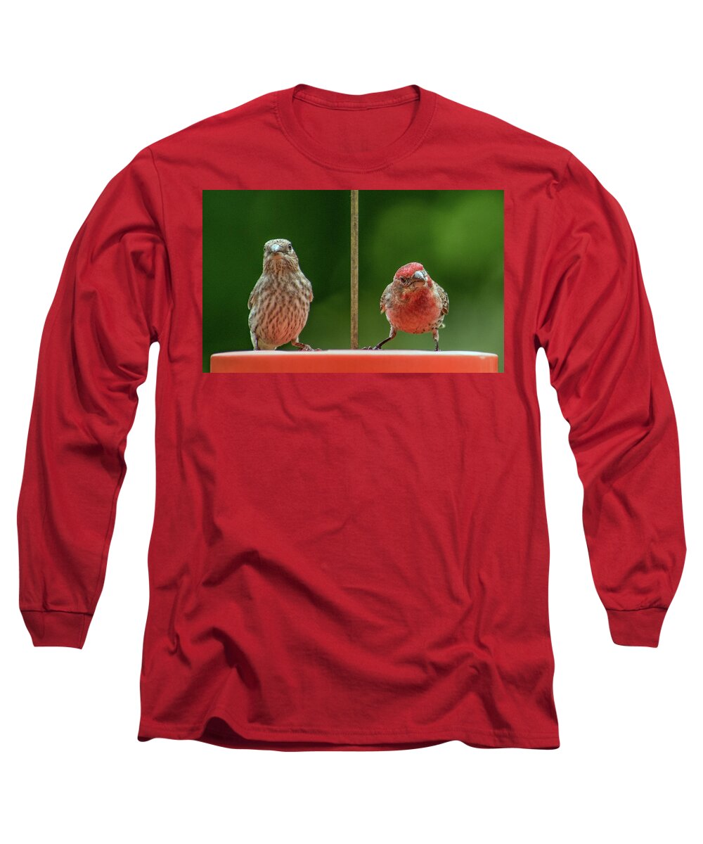 Purple Finches Long Sleeve T-Shirt featuring the photograph Mr. and Mrs. Purple Finch by Michael Hall