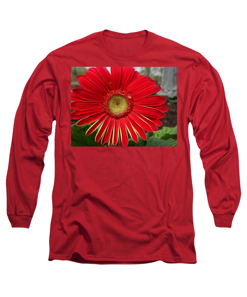 Gerbera Daisies Long Sleeve T-Shirt featuring the photograph Nature's Best by Mary Halpin