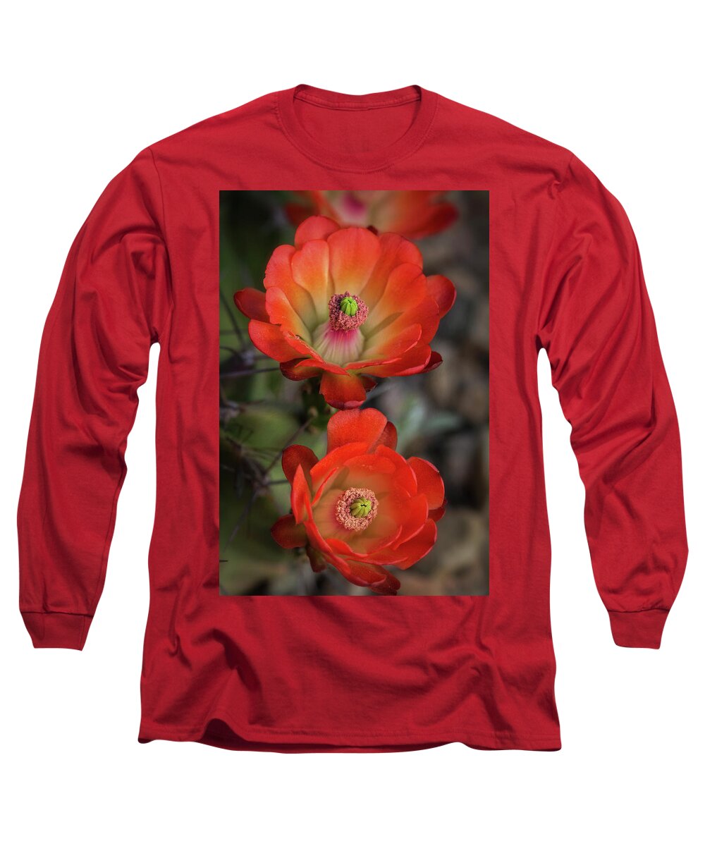Claret Cup Cactus Long Sleeve T-Shirt featuring the photograph Orange Claret Dreams by Saija Lehtonen