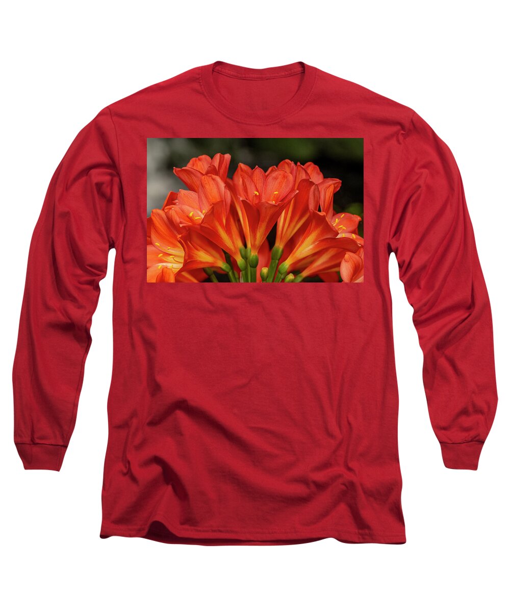 Kaffir Long Sleeve T-Shirt featuring the photograph Orange Delight - Kaffir Lily by Carol Senske