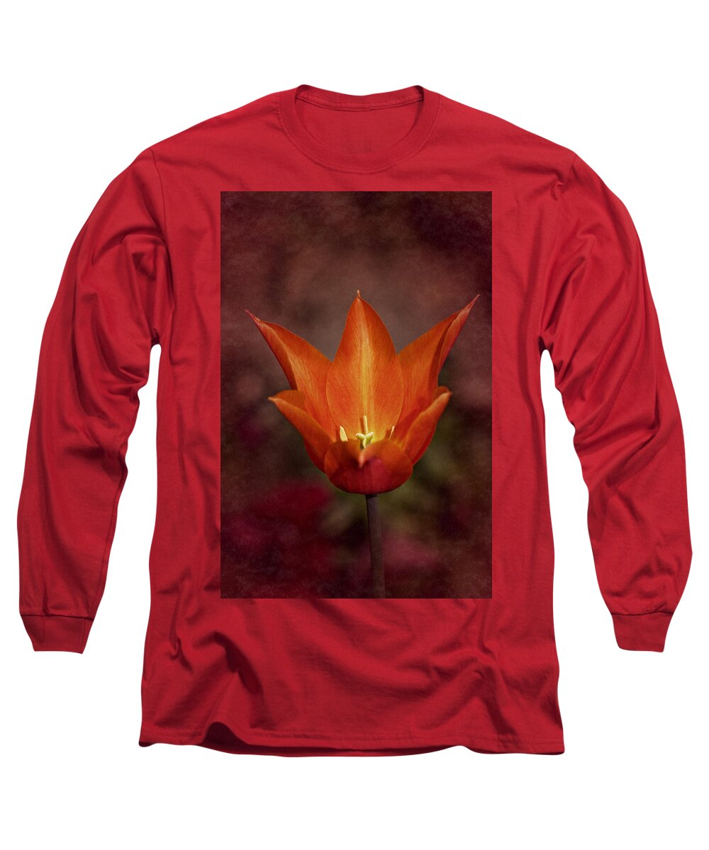Tulip Long Sleeve T-Shirt featuring the photograph Orange Tulip by Richard Cummings