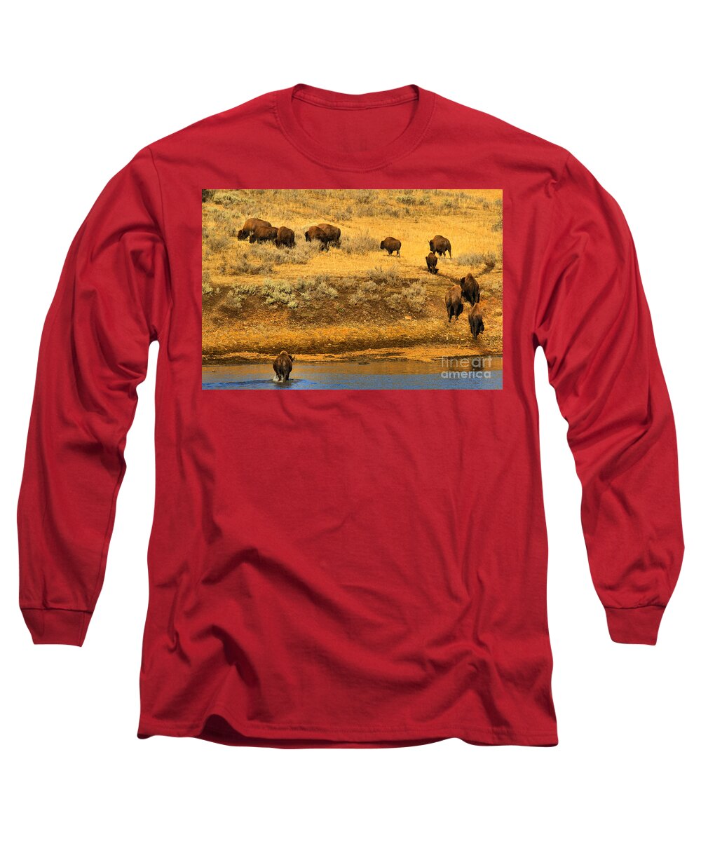 Bison Long Sleeve T-Shirt featuring the photograph Over The River And Up The Hill by Adam Jewell