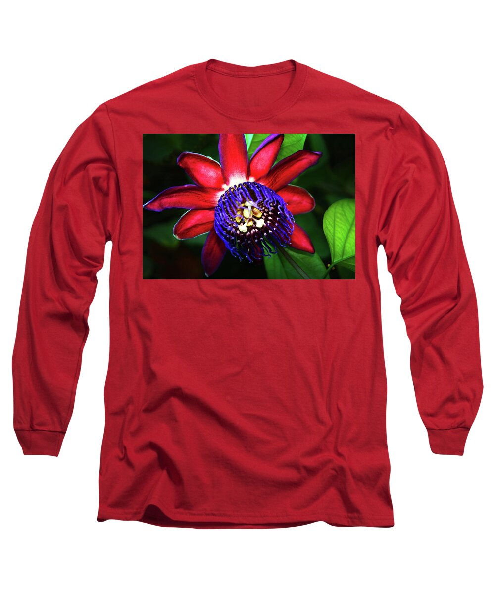 Passion Flower Long Sleeve T-Shirt featuring the photograph Passion Flower by Anthony Jones