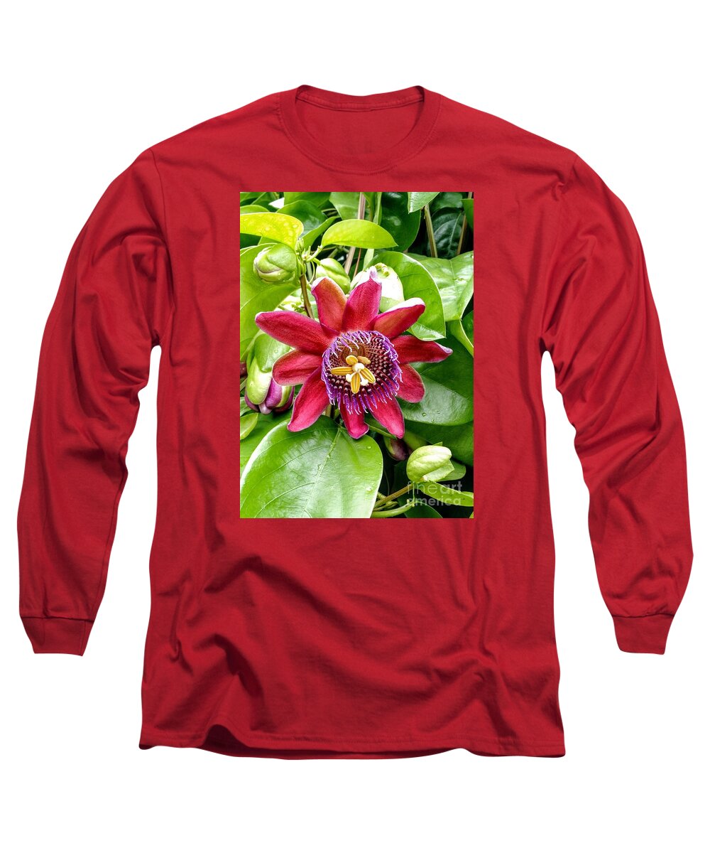 Passion Flower Long Sleeve T-Shirt featuring the photograph Passion Flower in Autumn by Anita Adams