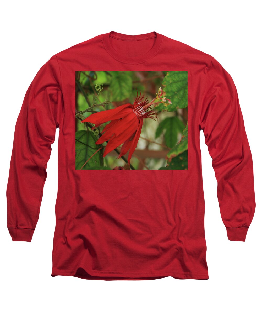 Red Passion Long Sleeve T-Shirt featuring the photograph Passion by Marna Edwards Flavell