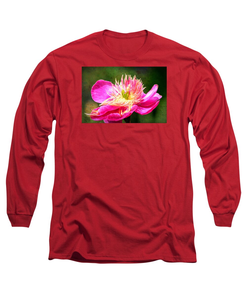 Flower Long Sleeve T-Shirt featuring the photograph Pink Beauty by Bonnie Bruno