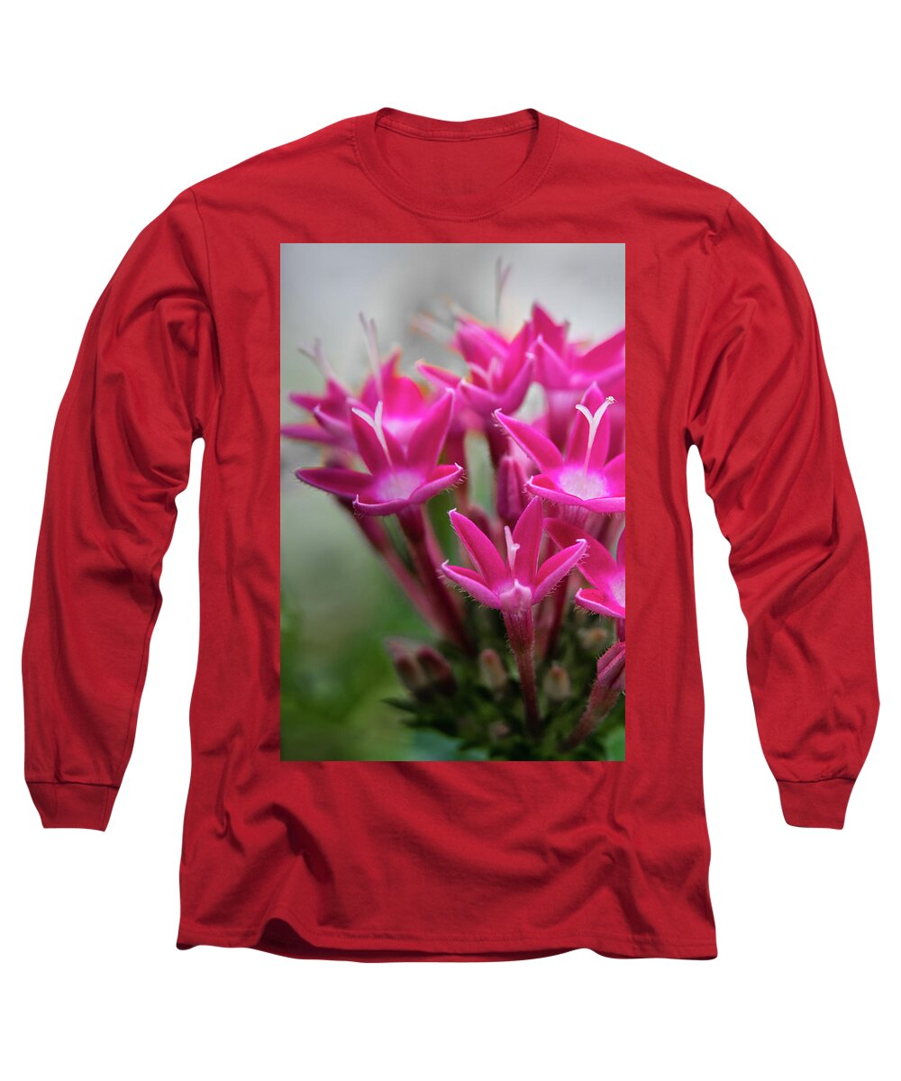 Pink Long Sleeve T-Shirt featuring the photograph Pink Blossoms by James Woody
