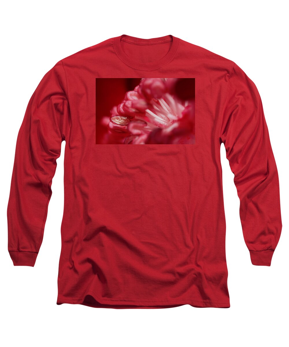 Flower Long Sleeve T-Shirt featuring the photograph Pink Delight by Robert Och