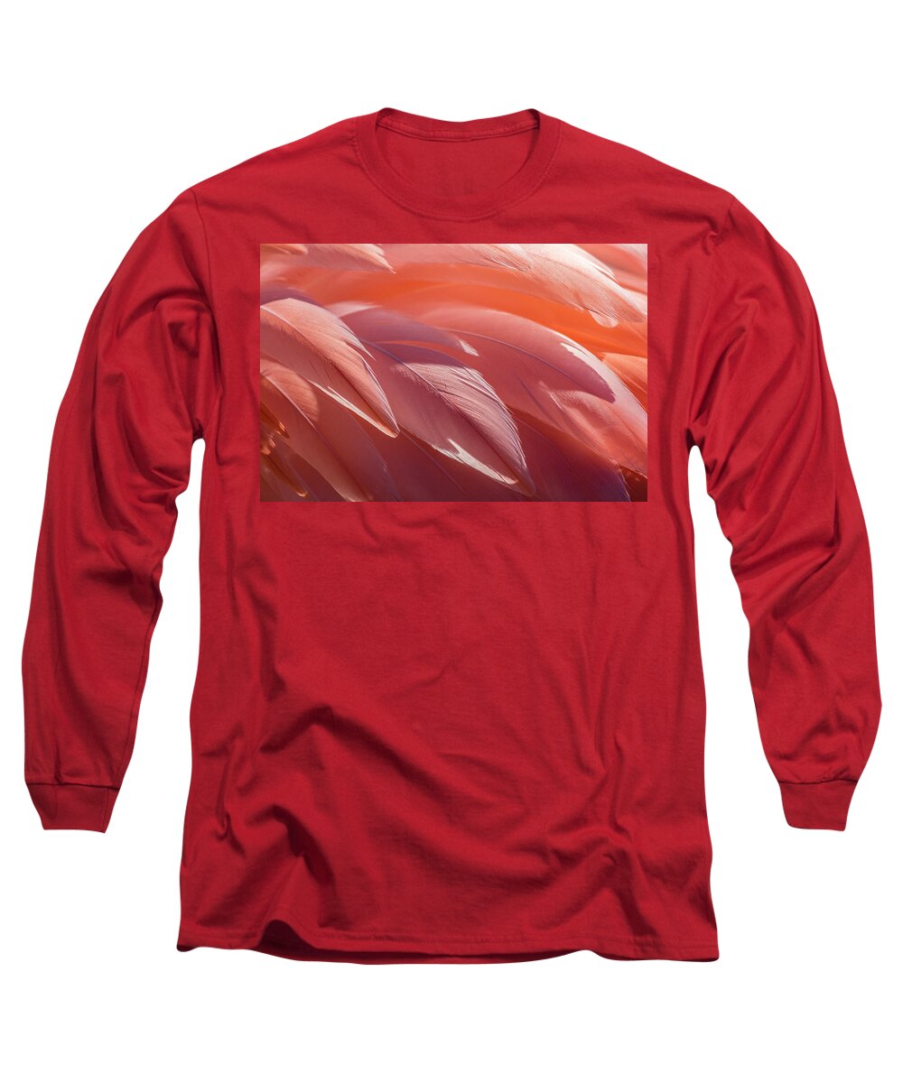 Abstract Long Sleeve T-Shirt featuring the photograph Pink Flamingo by Holly Ross