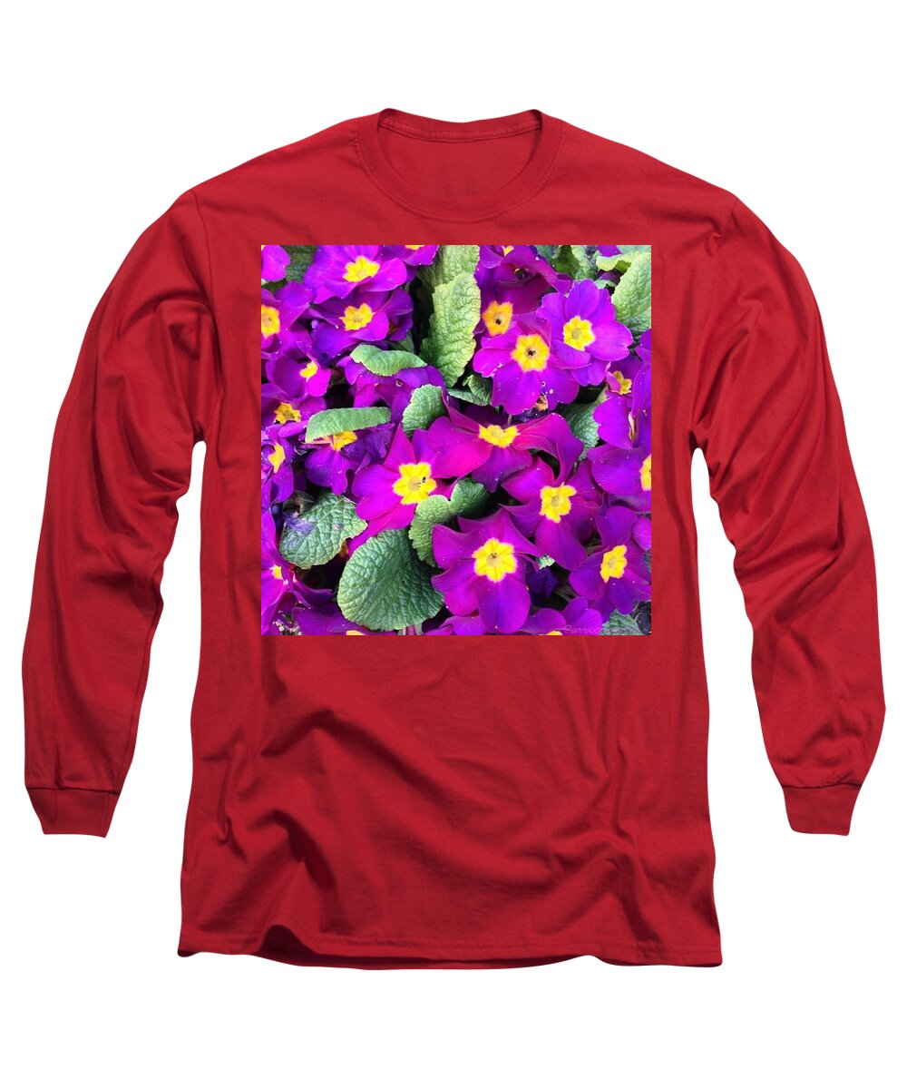 123purples Long Sleeve T-Shirt featuring the photograph Purple Primroses #annasgardens Iphone5 by Anna Porter