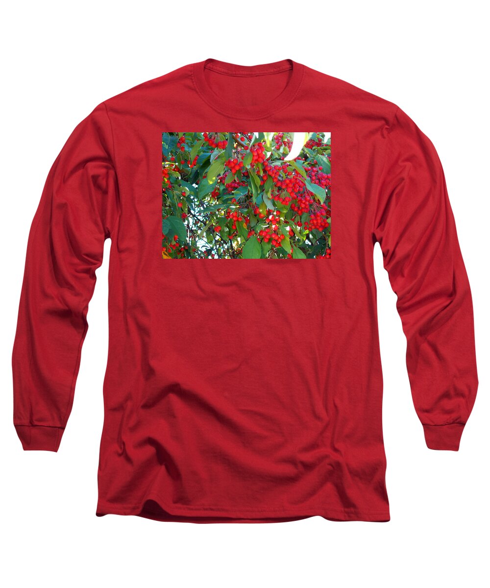 Red Long Sleeve T-Shirt featuring the photograph Red Berries by Catherine Gagne