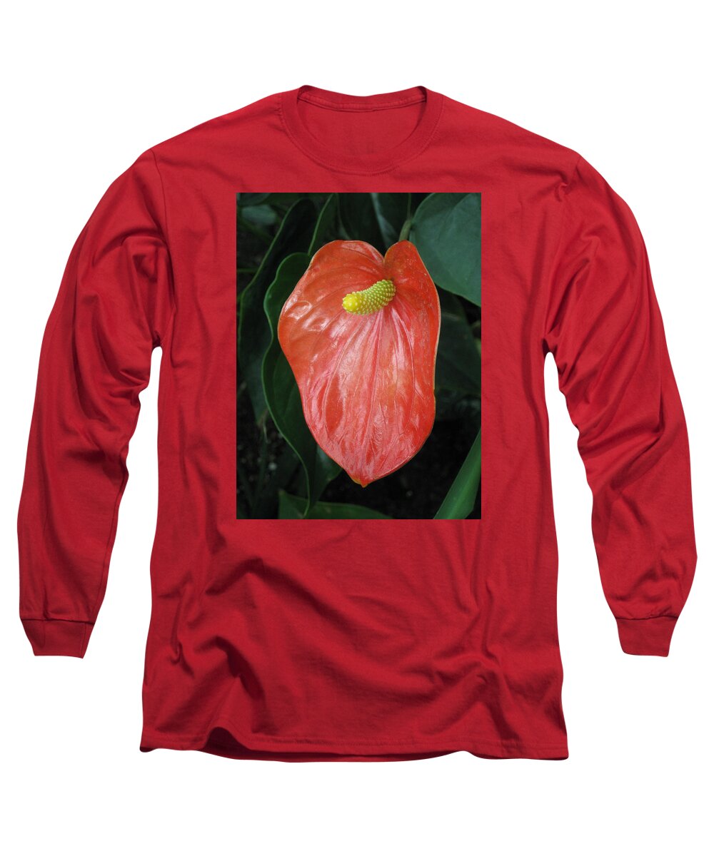  Long Sleeve T-Shirt featuring the photograph Red Peace by Ron Monsour