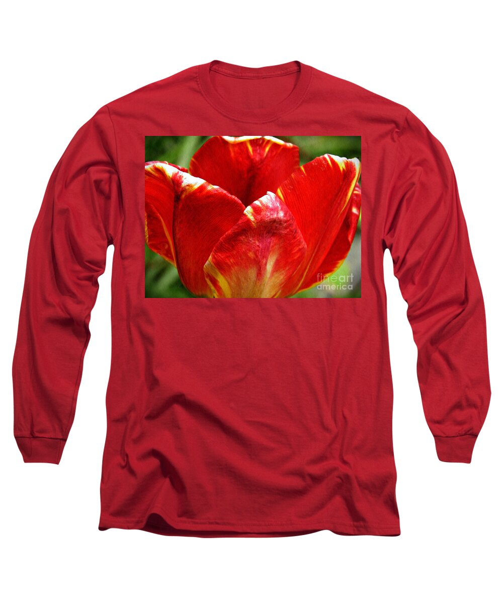 Tulip Long Sleeve T-Shirt featuring the photograph Red Tulip by Sarah Loft