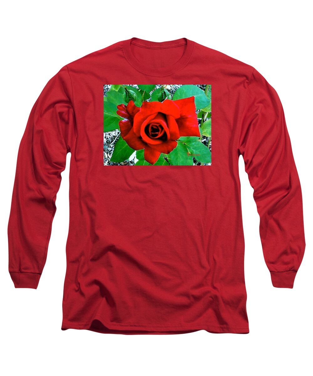 Roses Long Sleeve T-Shirt featuring the photograph Red Velvet Rose by A L Sadie Reneau