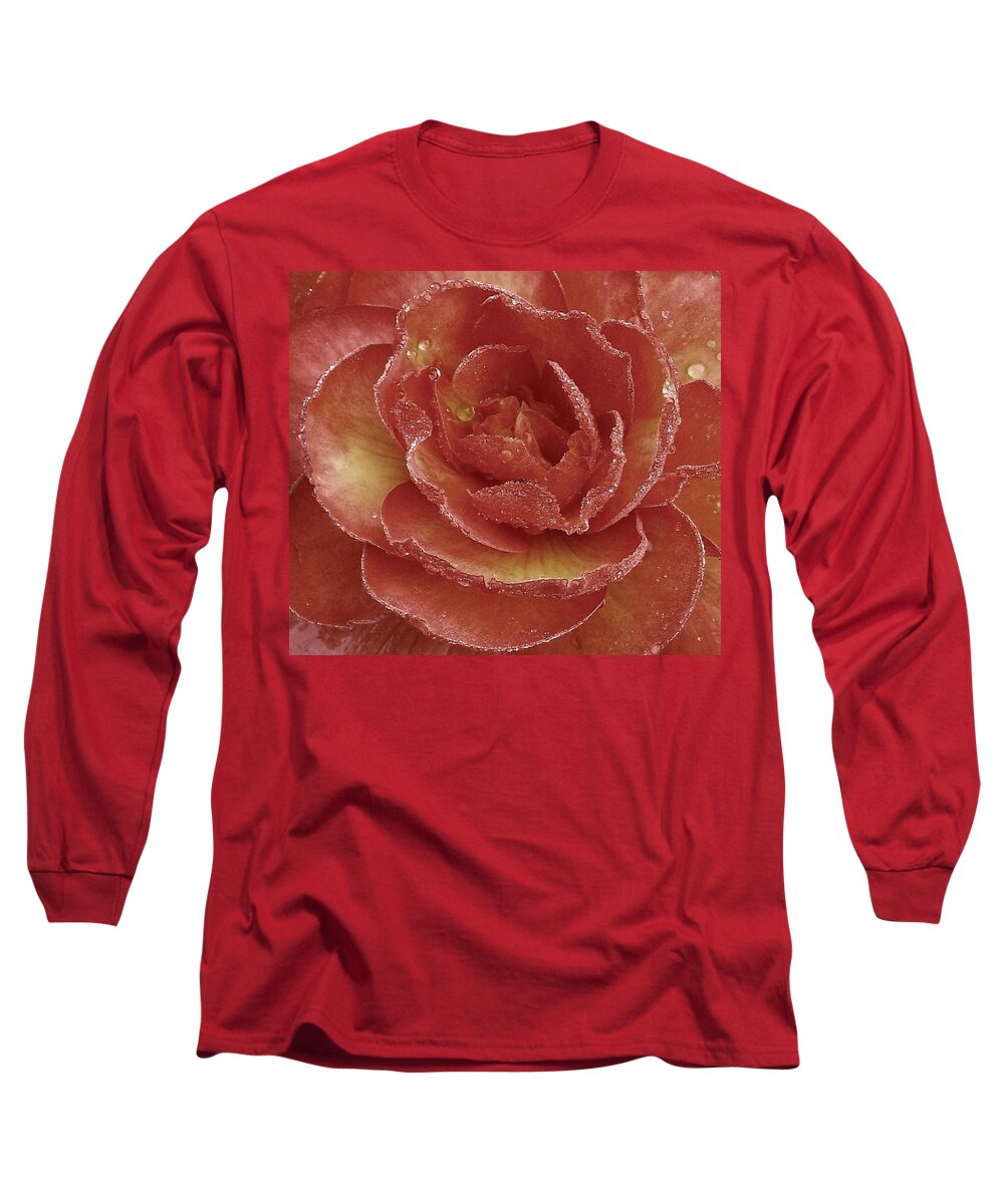 Flower Long Sleeve T-Shirt featuring the photograph Renewal by Danielle R T Haney